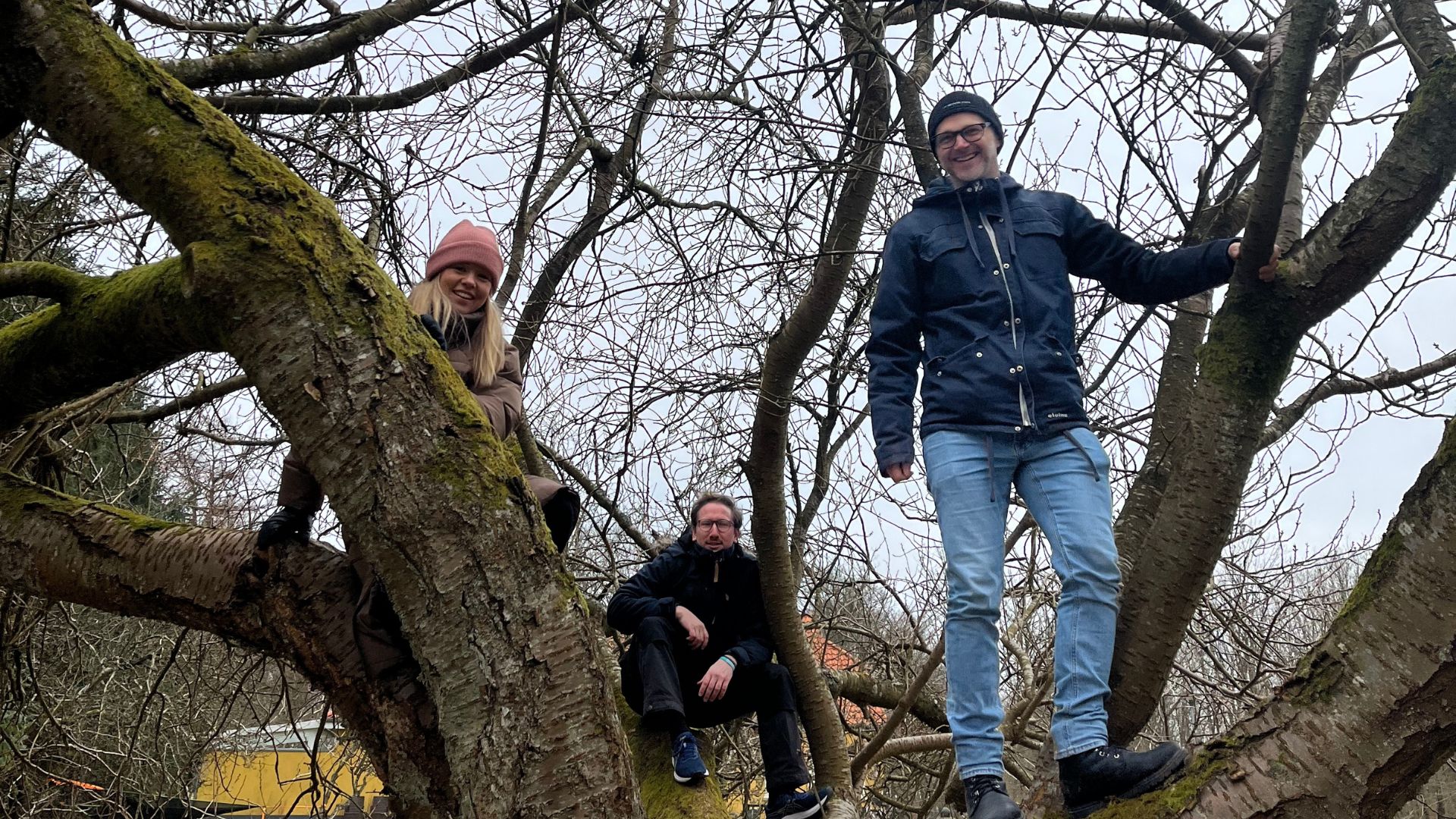 Hør og se, hvad du kan glæde dig til